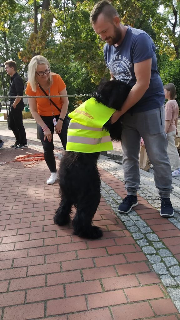 Zdjęcie piknik Drezdenko_13