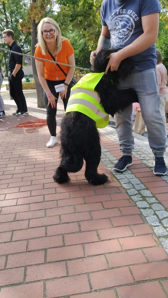Zdjęcie piknik Drezdenko_6