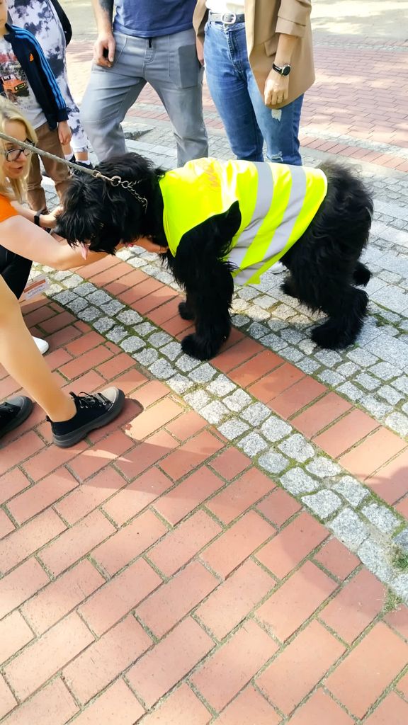Zdjęcie piknik Drezdenko_8