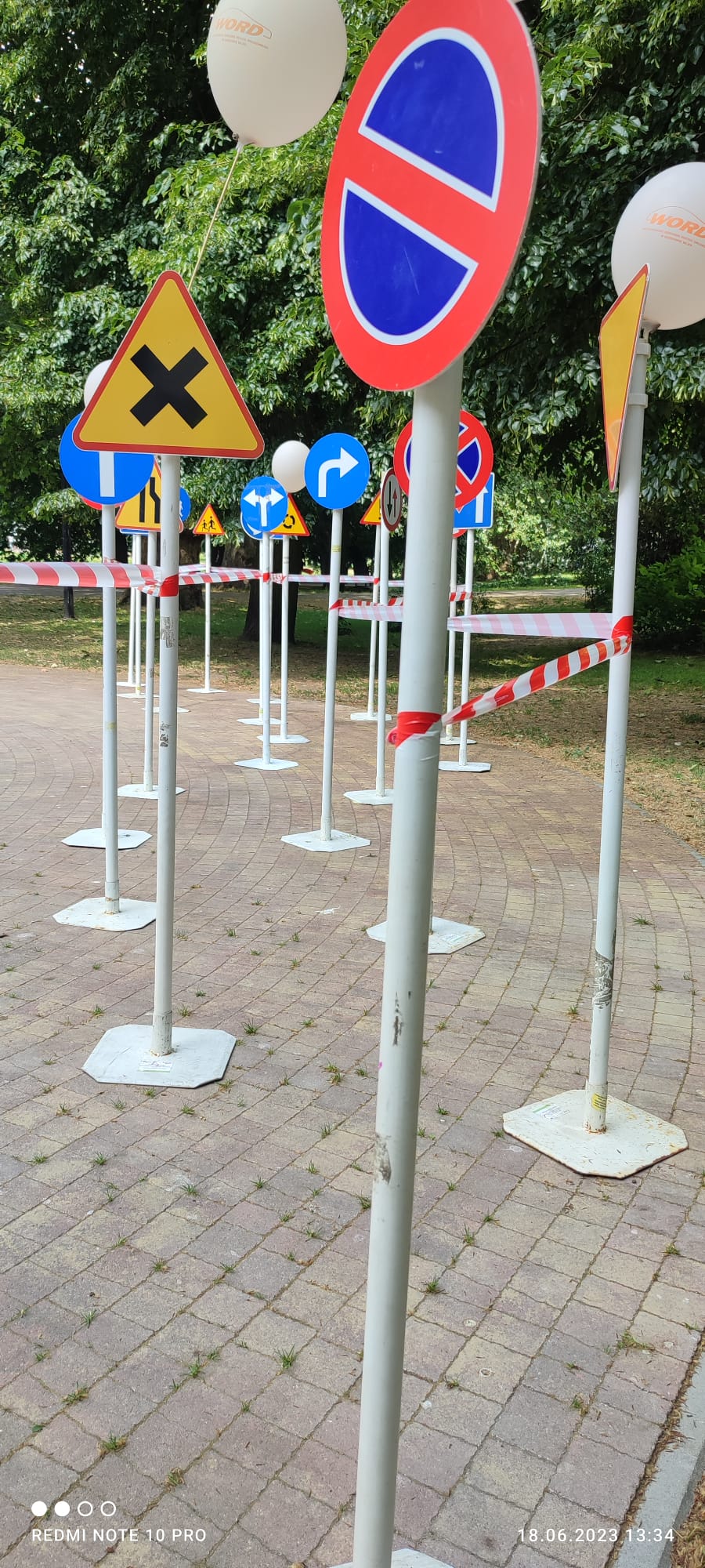 Lubuski Piknik Zdrowia Lubuski Piknik Zdrowia